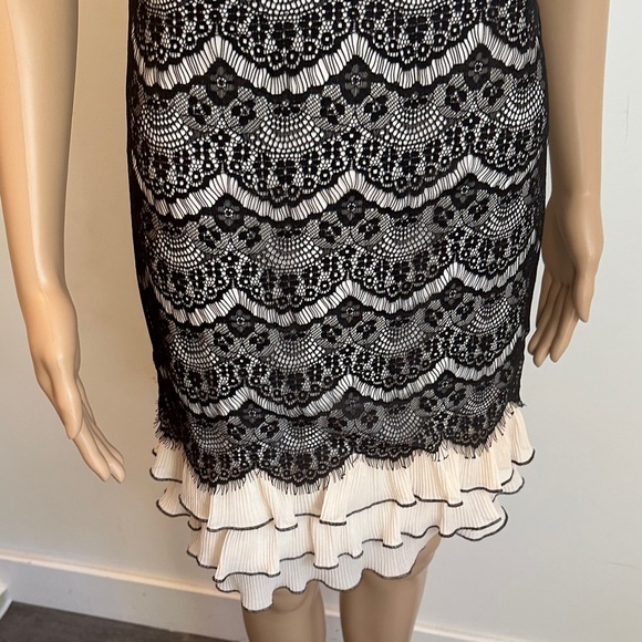 Chic Black Lace Mini Dress - Picture 3 of 7